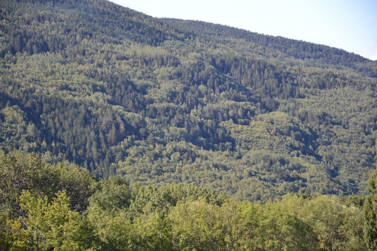Casa Rural Borda Marianet Серлер Экстерьер фото